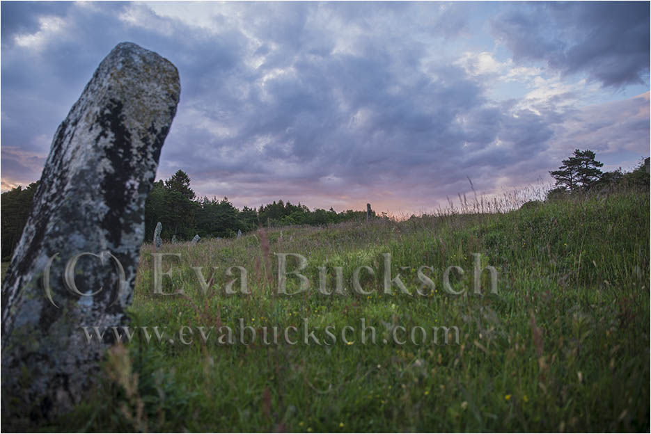 Skymning över gravfält - foto av Eva Bucksch